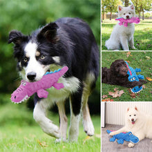 Load image into Gallery viewer, Pet Crocodile Toys