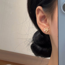 Load image into Gallery viewer, Firework Pearl Earrings