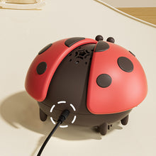 Load image into Gallery viewer, Children's Ladybug Suspended Ball Toy