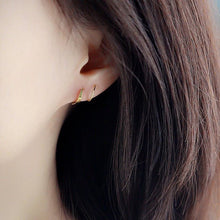 Load image into Gallery viewer, Spiral Hoop Twist Earrings