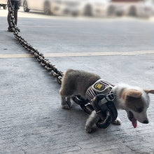 Load image into Gallery viewer, Funny Dog Leash