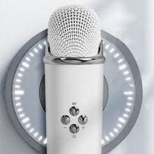 Load image into Gallery viewer, Mini Karaoke-maskin med trådløs mikrofon