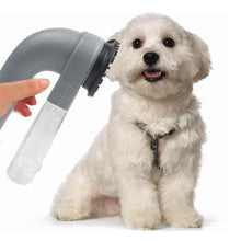 Load image into Gallery viewer, Pet Hair Fur Remover