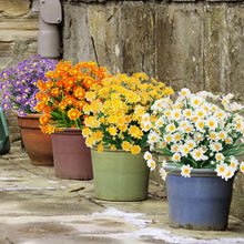 Load image into Gallery viewer, Artificial Daisies Flowers for Outdoors