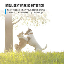 Load image into Gallery viewer, Hirundo Anti-bark Dog Collar Device