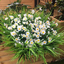 Load image into Gallery viewer, Artificial Daisies Flowers for Outdoors