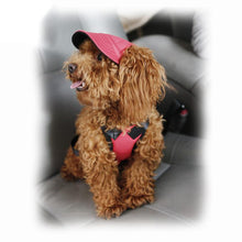 Load image into Gallery viewer, Creative Pet Hats