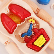 Load image into Gallery viewer, Children's Enlightenment Toys