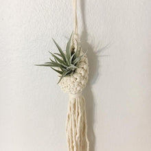 Load image into Gallery viewer, Macrame Hanging Planter Indoor For Air Plant