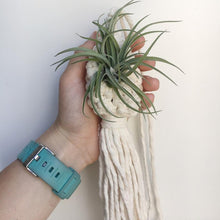 Load image into Gallery viewer, Macrame Hanging Planter Indoor For Air Plant