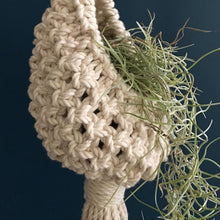 Load image into Gallery viewer, Macrame Hanging Planter Indoor For Air Plant
