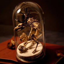 Load image into Gallery viewer, Skeleton Curiosity Cabinet