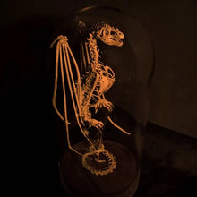 Load image into Gallery viewer, Skeleton Curiosity Cabinet