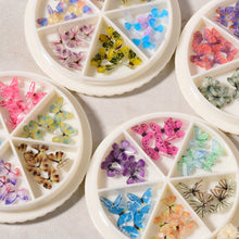 Load image into Gallery viewer, Nail Art Miniature Butterfly