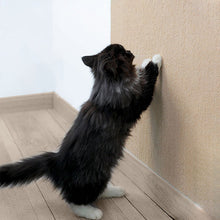 Load image into Gallery viewer, Cat Scratching Matt