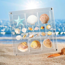 Load image into Gallery viewer, Acrylic Seashell Display Box