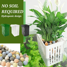 Load image into Gallery viewer, Fish Tank Hydroponic Planting Basket