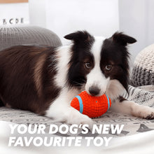 Load image into Gallery viewer, Immortal Toy For Aggressive Chewers