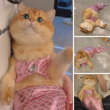 Load image into Gallery viewer, Funny Cat Mermaid Clothing