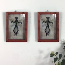 Load image into Gallery viewer, Mysterious Mummified Fairy in Frame