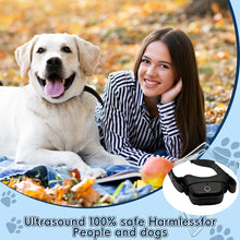 Load image into Gallery viewer, Dog Training Collar