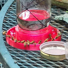 Load image into Gallery viewer, Bee Feeder For Regular Mouth Mason Jar