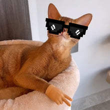 Load image into Gallery viewer, Funny Mini Finger Hands