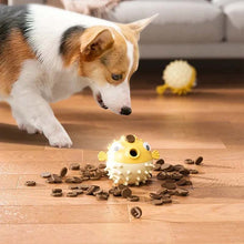 Load image into Gallery viewer, Dog Clownfish Chewing Toy