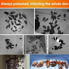 Load image into Gallery viewer, Powerful Safe Cockroach Repellent Essential Oil