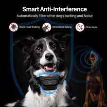 Load image into Gallery viewer, Dog Training Collar