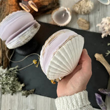 Load image into Gallery viewer, Abalone Shell/Lion’s Paw Shell/Scallop Shell Journal
