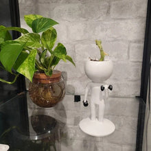 Load image into Gallery viewer, Sporting Succulents Potted Plants