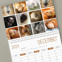 Load image into Gallery viewer, Funniest calendar of the century | Funny Cat Calendar 2024