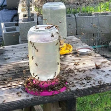 Load image into Gallery viewer, Bee Feeder For Regular Mouth Mason Jar