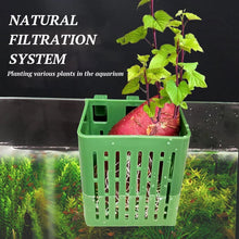 Load image into Gallery viewer, Fish Tank Hydroponic Planting Basket