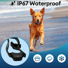 Load image into Gallery viewer, Dog Training Collar