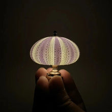 Load image into Gallery viewer, DIY Sea Urchin Night Light