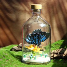 Load image into Gallery viewer, Insect Collection Building Blocks with Glass Display Bottle
