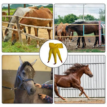 Load image into Gallery viewer, Funny Feet For Horse