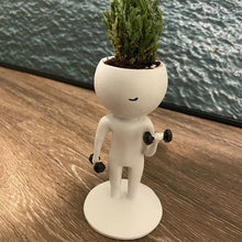 Load image into Gallery viewer, Sporting Succulents Potted Plants