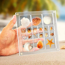 Load image into Gallery viewer, Acrylic Seashell Display Box