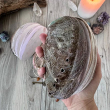 Load image into Gallery viewer, Abalone Shell/Lion’s Paw Shell/Scallop Shell Journal