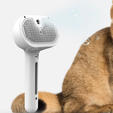 Load image into Gallery viewer, Spray Groomer Comb (with 20 ml serum)
