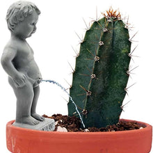 Load image into Gallery viewer, Peeing Boy Selvvanning Stake