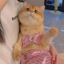Load image into Gallery viewer, Funny Cat Mermaid Clothing