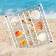 Load image into Gallery viewer, Acrylic Seashell Display Box