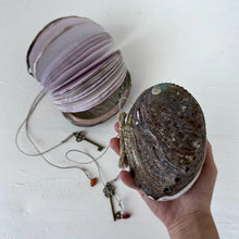 Load image into Gallery viewer, Abalone Shell/Lion’s Paw Shell/Scallop Shell Journal