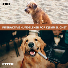 Load image into Gallery viewer, Pet sigarett leker