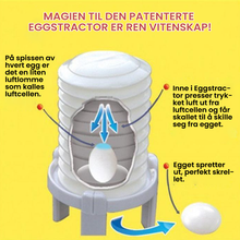 Load image into Gallery viewer, Eggeskall Avskaller