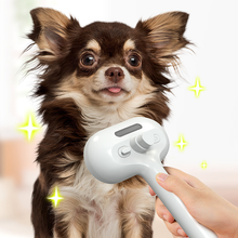Load image into Gallery viewer, Spray Groomer Comb (with 20 ml serum)